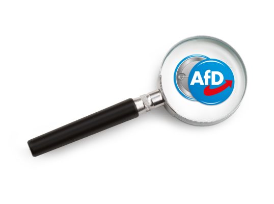 single magnifying glass isolated on white background